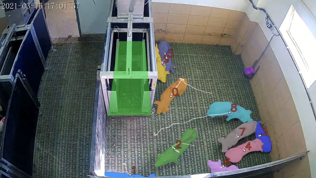 Logo Computer Vision for animal well-being in the pig sector